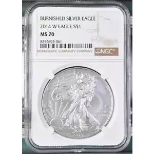 2014 W BURNISHED SILVER EAGLE (2)