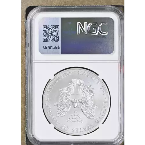 2014 W BURNISHED SILVER EAGLE (3)