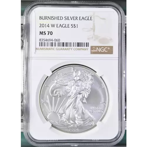 2014 W BURNISHED SILVER EAGLE (2)