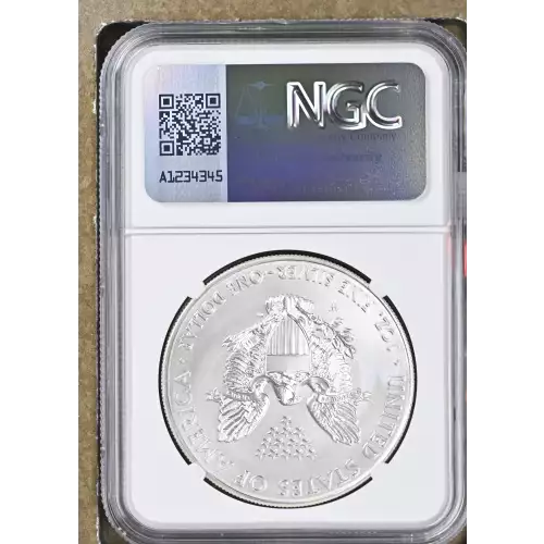 2014 W BURNISHED SILVER EAGLE (3)