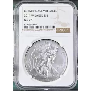 2014 W BURNISHED SILVER EAGLE (2)