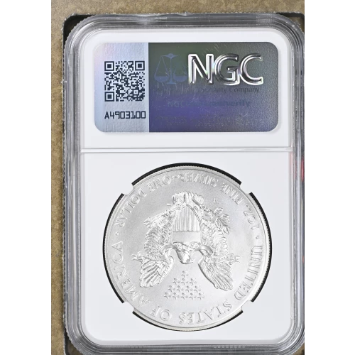2014 W BURNISHED SILVER EAGLE (3)