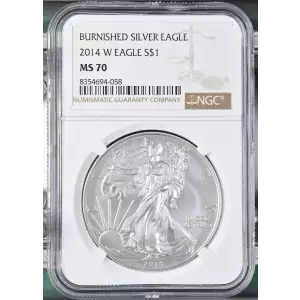 2014 W BURNISHED SILVER EAGLE (2)