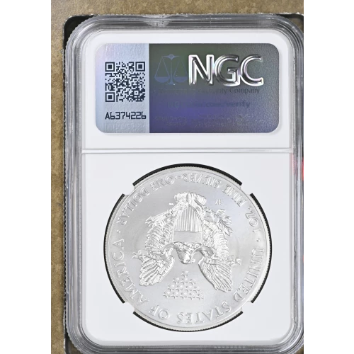 2014 W BURNISHED SILVER EAGLE (3)