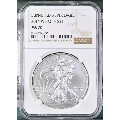 2014 W BURNISHED SILVER EAGLE (2)