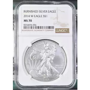 2014 W BURNISHED SILVER EAGLE (2)