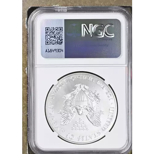 2014 W BURNISHED SILVER EAGLE (3)