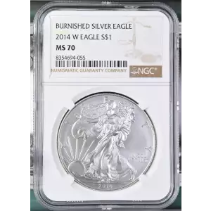 2014 W BURNISHED SILVER EAGLE (2)