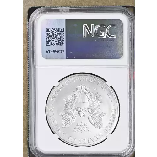 2014 W BURNISHED SILVER EAGLE (3)