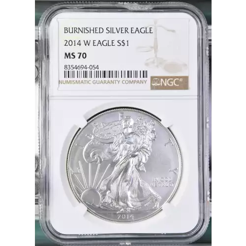 2014 W BURNISHED SILVER EAGLE (2)