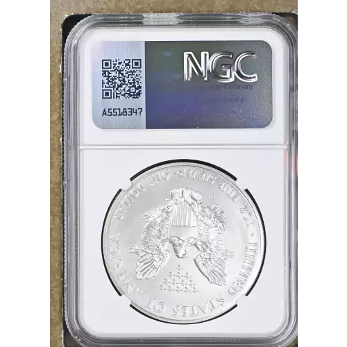 2014 W BURNISHED SILVER EAGLE (3)