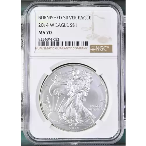 2014 W BURNISHED SILVER EAGLE (2)