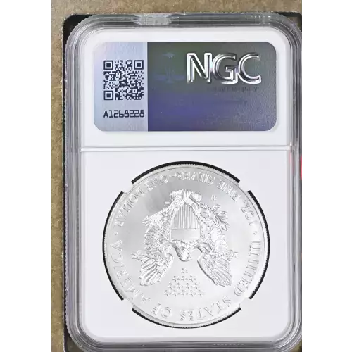 2014 W BURNISHED SILVER EAGLE (3)