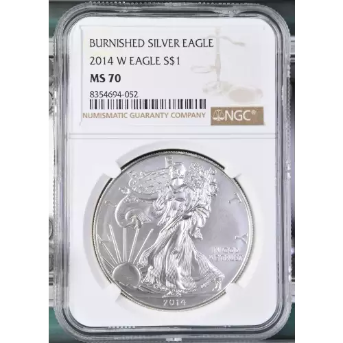 2014 W BURNISHED SILVER EAGLE (2)