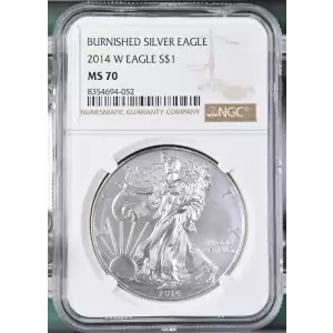 2014 W BURNISHED SILVER EAGLE (2)