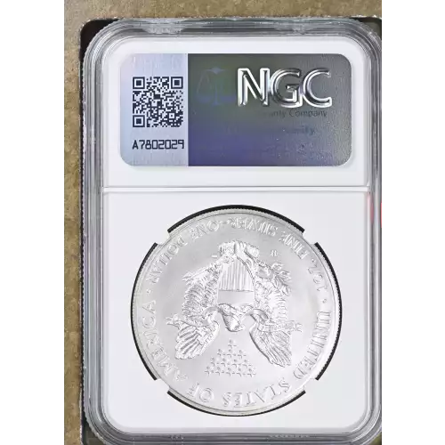 2014 W BURNISHED SILVER EAGLE (3)