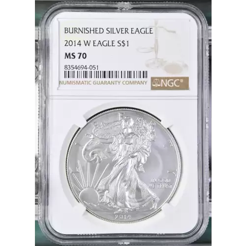 2014 W BURNISHED SILVER EAGLE (2)
