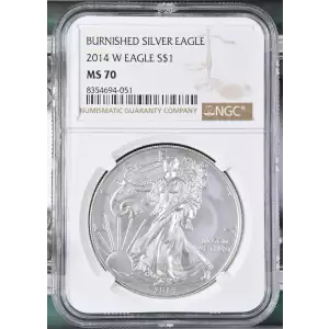 2014 W BURNISHED SILVER EAGLE (2)