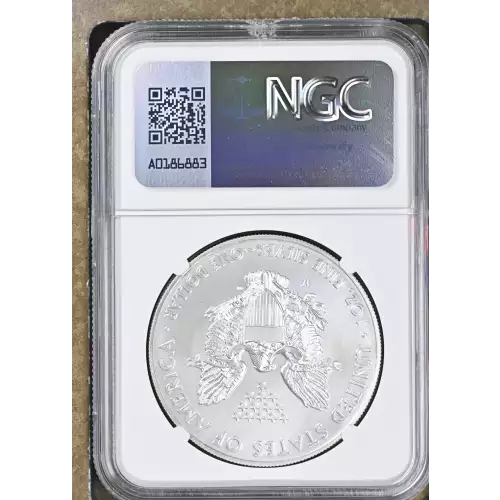 2014 W BURNISHED SILVER EAGLE (3)