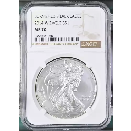 2014 W BURNISHED SILVER EAGLE (2)