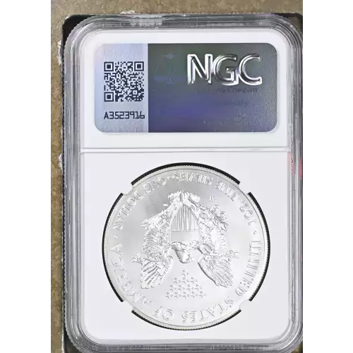 2014 W BURNISHED SILVER EAGLE (3)