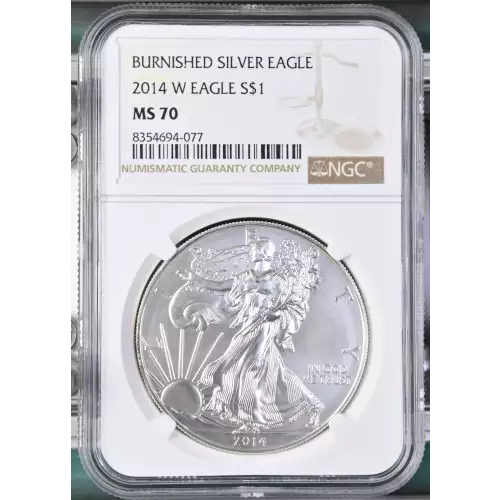 2014 W BURNISHED SILVER EAGLE (2)