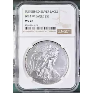 2014 W BURNISHED SILVER EAGLE (2)