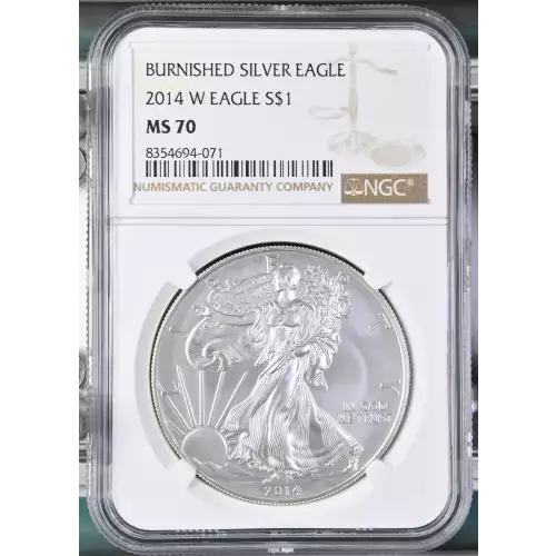 2014 W BURNISHED SILVER EAGLE (2)