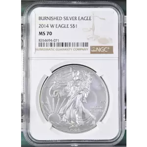 2014 W BURNISHED SILVER EAGLE (2)