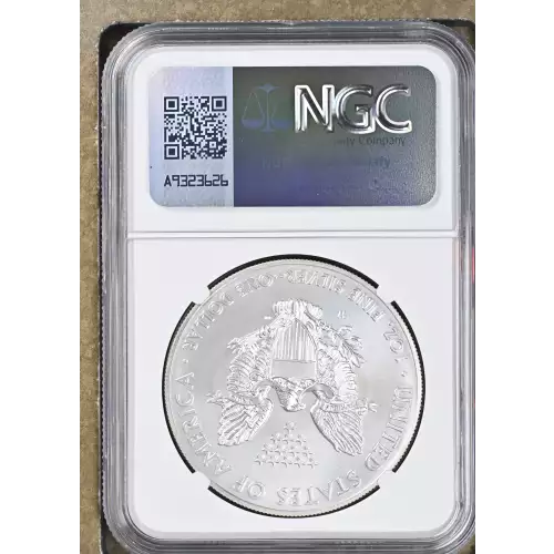 2014 W BURNISHED SILVER EAGLE (3)