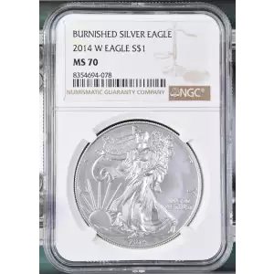 2014 W BURNISHED SILVER EAGLE (2)