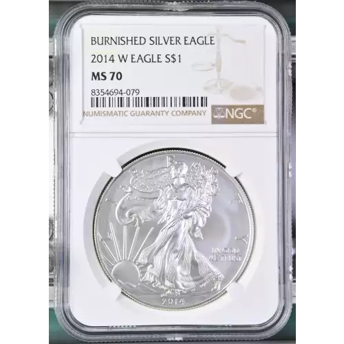 2014 W BURNISHED SILVER EAGLE (2)