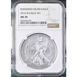 2014 W BURNISHED SILVER EAGLE (2)