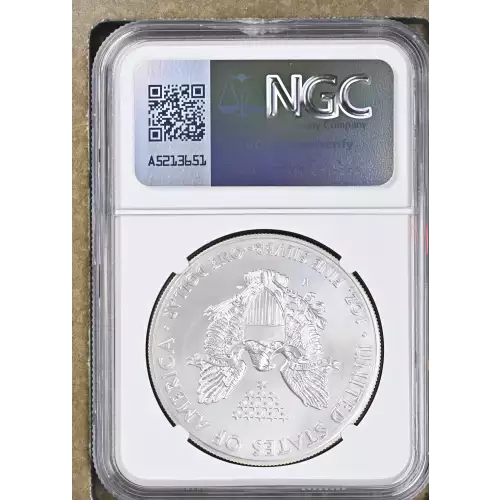 2014 W BURNISHED SILVER EAGLE (3)
