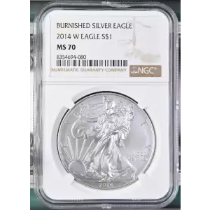 2014 W BURNISHED SILVER EAGLE (2)