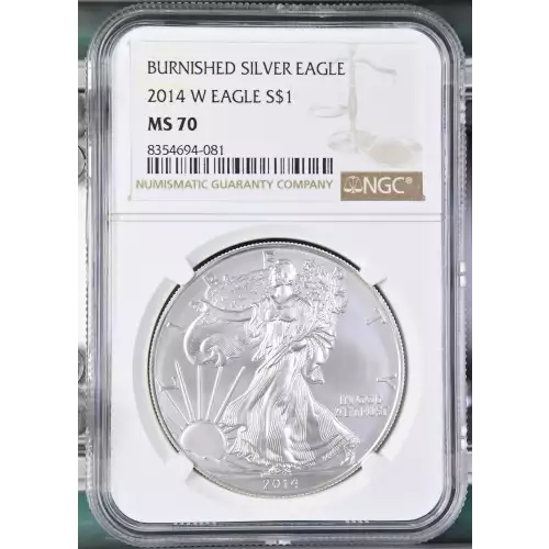 2014 W BURNISHED SILVER EAGLE (2)