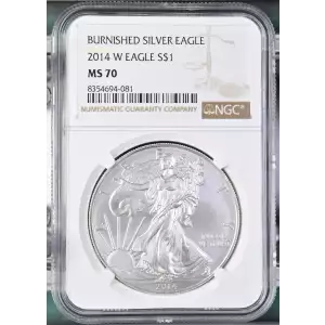 2014 W BURNISHED SILVER EAGLE (2)