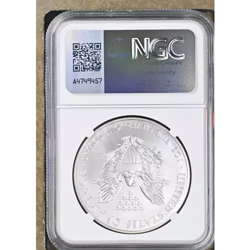 2014 W BURNISHED SILVER EAGLE (3)