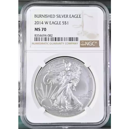 2014 W BURNISHED SILVER EAGLE (2)