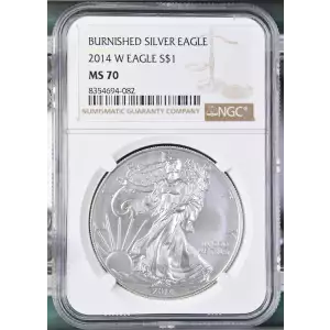 2014 W BURNISHED SILVER EAGLE (2)