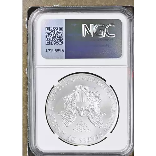 2014 W BURNISHED SILVER EAGLE (3)