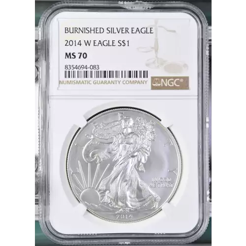 2014 W BURNISHED SILVER EAGLE (2)