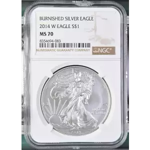 2014 W BURNISHED SILVER EAGLE (2)