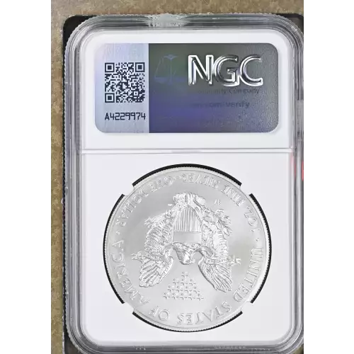 2014 W BURNISHED SILVER EAGLE (3)