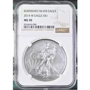 2014 W BURNISHED SILVER EAGLE (2)