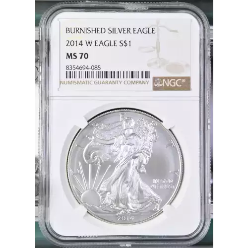 2014 W BURNISHED SILVER EAGLE (2)