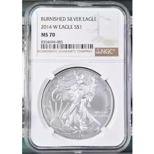 2014 W BURNISHED SILVER EAGLE (2)