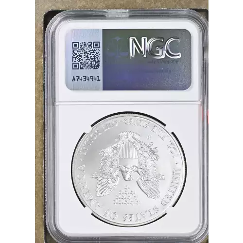 2014 W BURNISHED SILVER EAGLE (3)