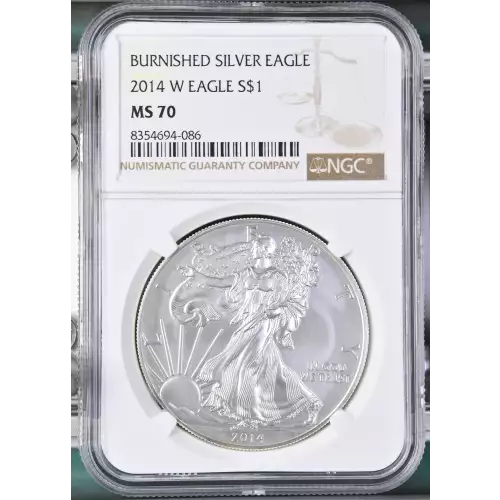 2014 W BURNISHED SILVER EAGLE (2)