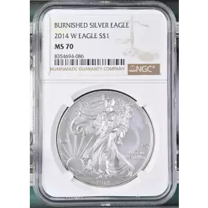 2014 W BURNISHED SILVER EAGLE (2)